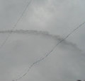 l10229085  