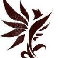 shuohaol  