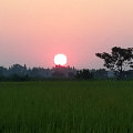 lmxukaiwen  