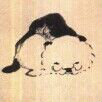 wanghaiabs  