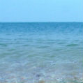 ytdx987654321  