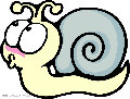 zishuijing  