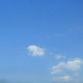 nbzhengfu  