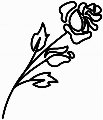 zhu76864833  
