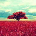 123@qq.com  