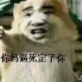 394852749  