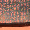 7328015  