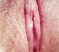 o787530191  