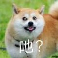 ����ʿ  