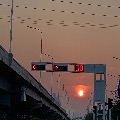 ak12303991  