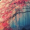 �Ҿ�Ҳ  