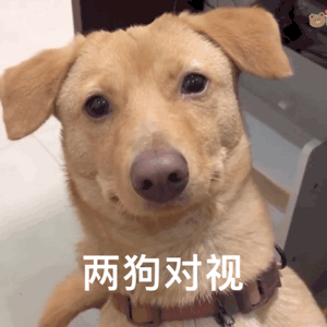 ����ȷ�a  