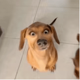 ����  