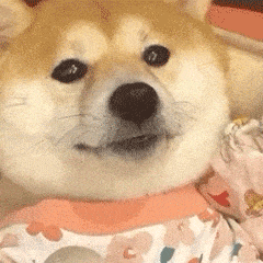 gufen  